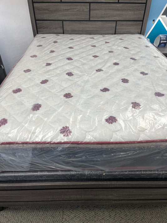 Regular Mattress Set